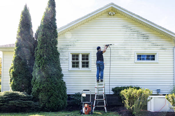 Pressure Washing Contractors in Rittman, OH